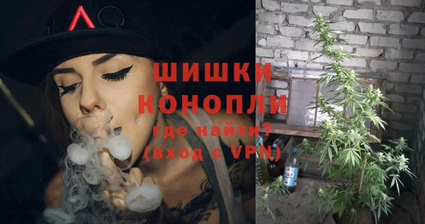 мяу мяу мука Арсеньев
