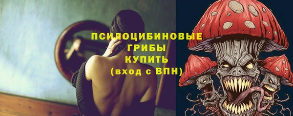 apvp Балабаново