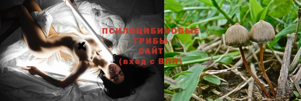 тгк Баксан