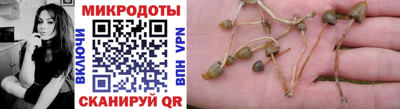 кракен ссылки Калуга Галлюциногенные грибы мухоморы